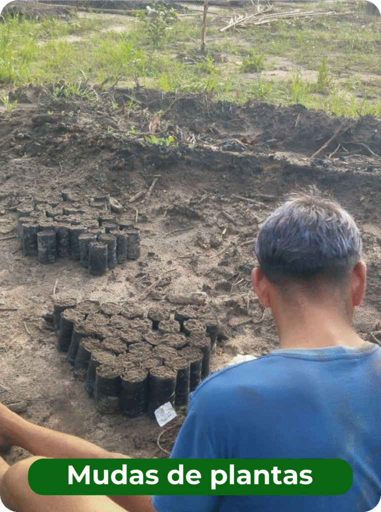 Site ekobe detalhes 02