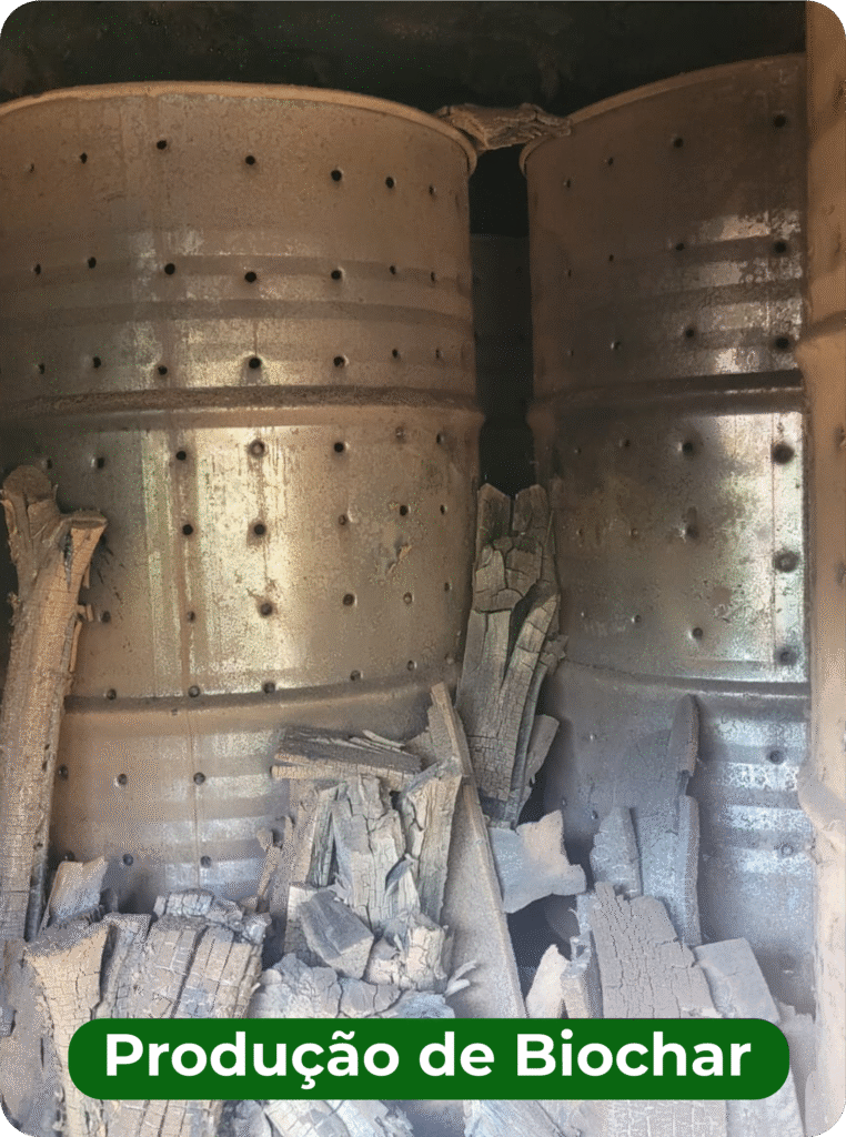 Site ekobe detalhes 03